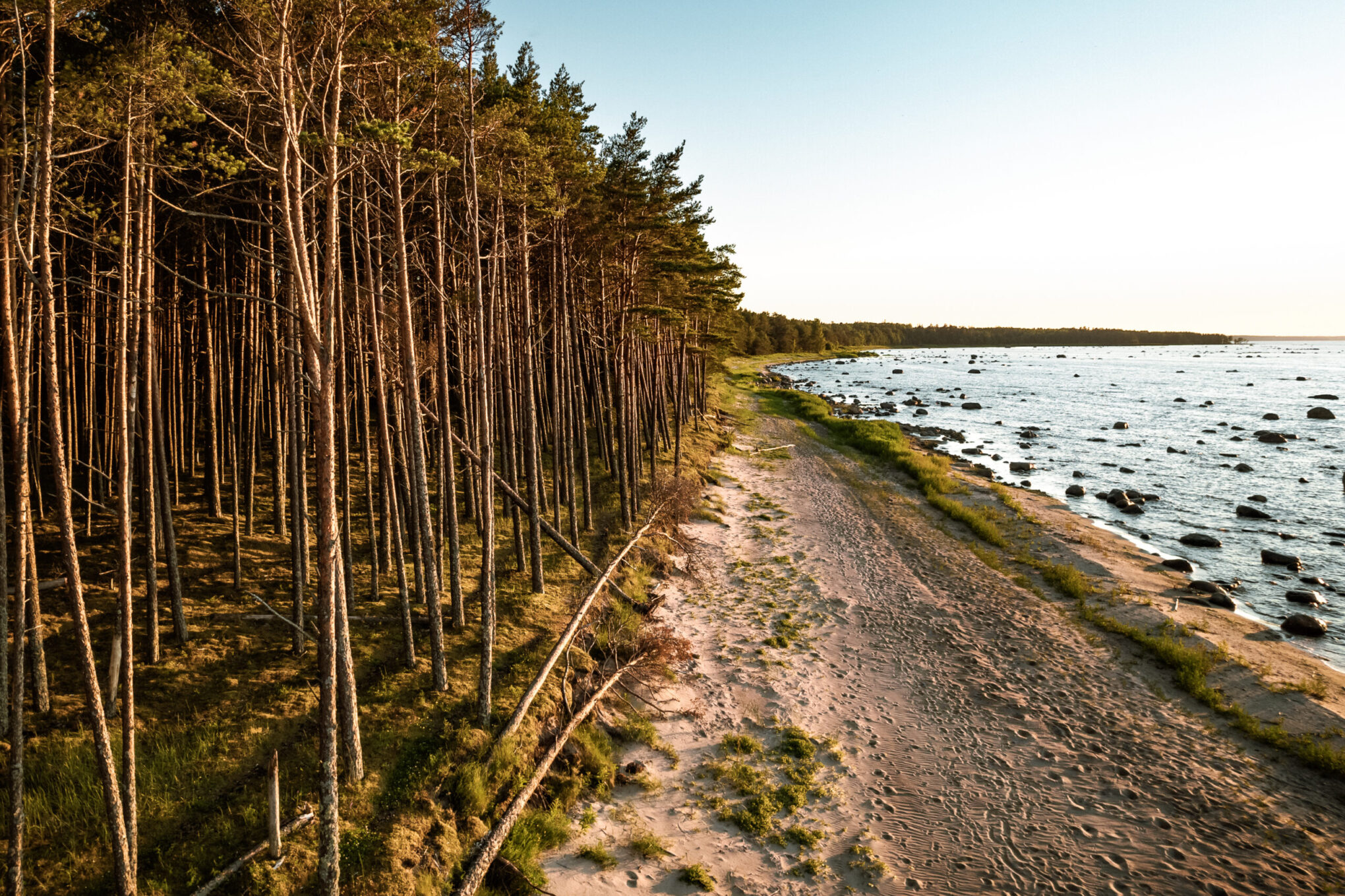 Lahemaa rannajoone droonifoto